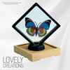 3D Floating Display Frame for Collections 24
