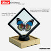 3D Floating Display Frame for Collections 11