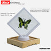 3D Floating Display Frame for Collections 12