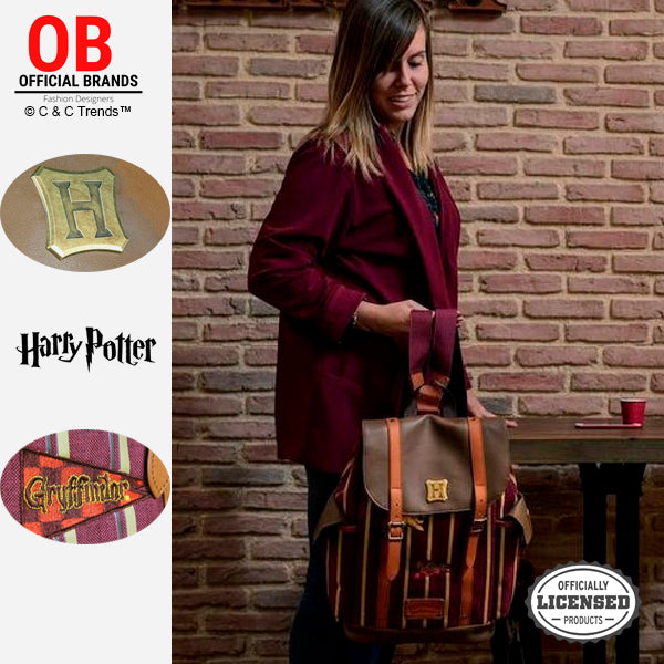 Casual Harry Potter Youth Backpack 6a