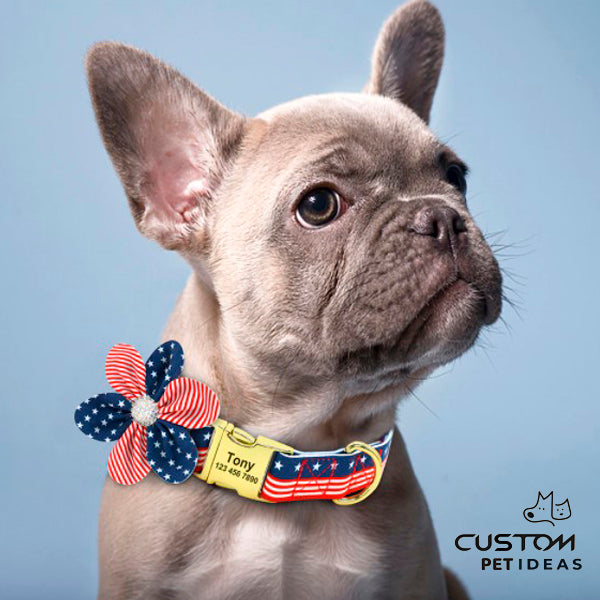 Cool Custom Engraved ID Pet Collar 22