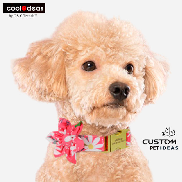 Cool Custom Engraved ID Pet Collar 23