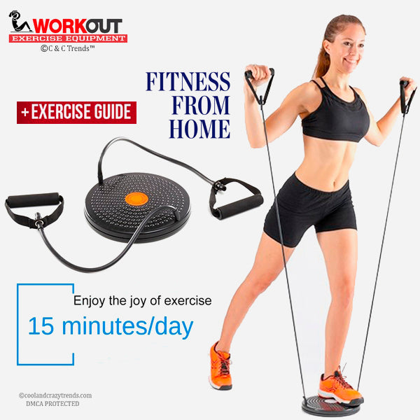 Fitness twisting disc with handles (FITDISC™) 1b