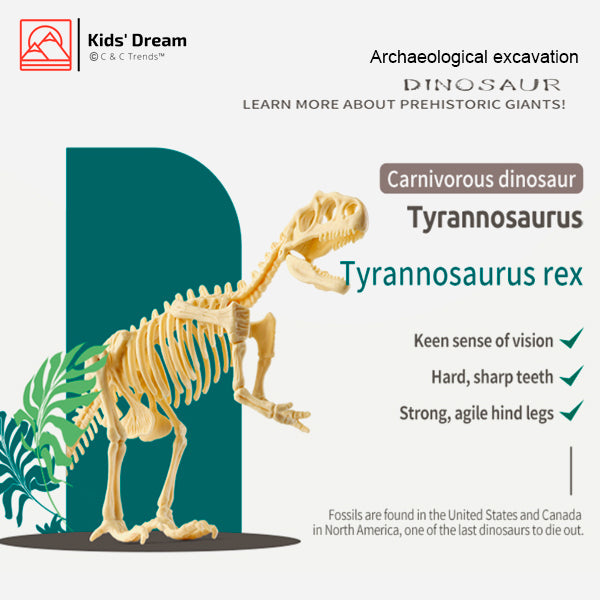 Realistic Dinosaur Archaeological Excavation Kit 13