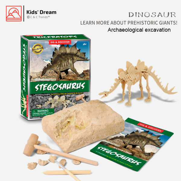 Realistic Dinosaur Archaeological Excavation Kit 4