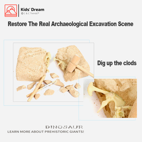 Realistic Dinosaur Archaeological Excavation Kit 9