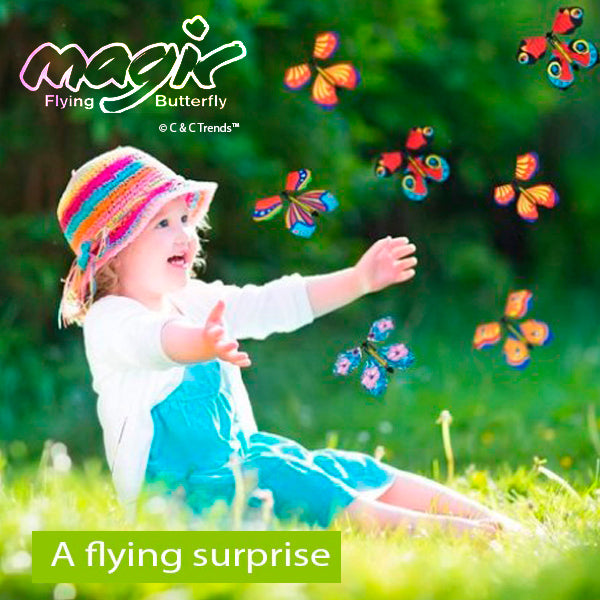 Surprise Flying Butterfly Toy 2a
