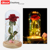 Beauty and Beast: Red Silk Rose with Led light 15b