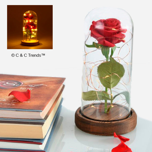 Beauty and Beast: Red Silk Rose with Led light 9a